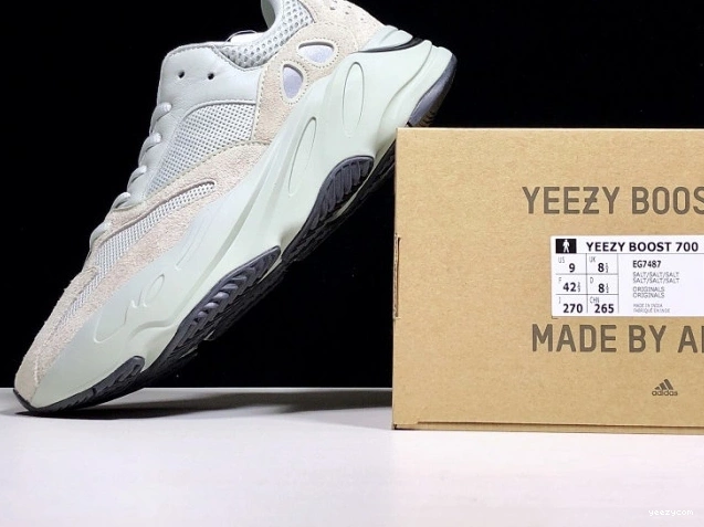 v2 Adidas 700 Yeezy EG7487 Boost Salt 1002